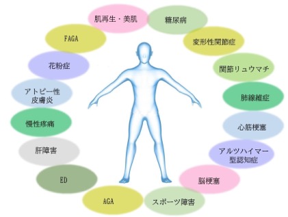 幹細胞培養上清液により期待できる効果